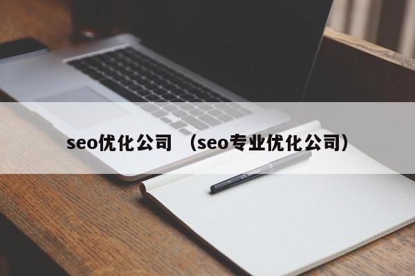 seo优化公司 （seo专业优化公司）