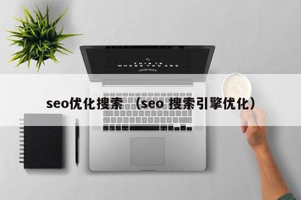 seo优化搜索 （seo 搜索引擎优化）