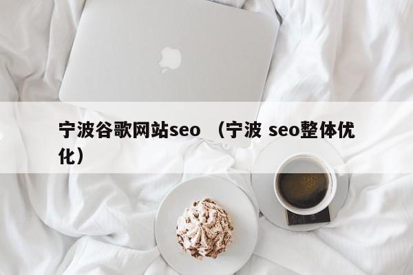 宁波谷歌网站seo （宁波 seo整体优化）