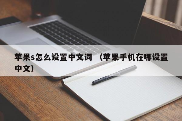 苹果s怎么设置中文词 （苹果手机在哪设置中文）
