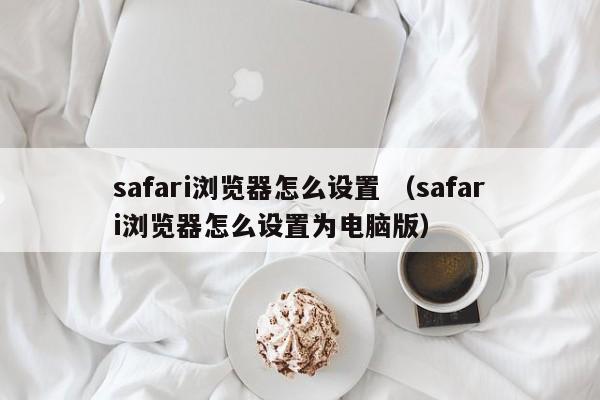 safari浏览器怎么设置 （safari浏览器怎么设置为电脑版）